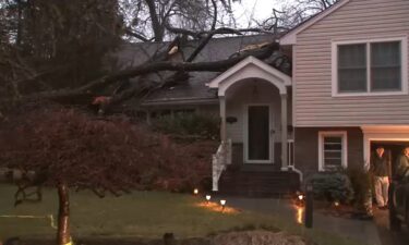 A massive tree crashes down on a home in Hillside