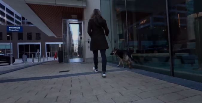 <i>WBBM via CNN Newsource</i><br/>After revelations that dozens of dogs at a high-rise in Chicago's River North district were getting zapped simply going into and out of the building