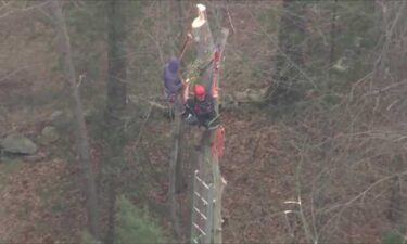 Crews rescued an injured tree worker who was hit by a limb and was trapped atop a tree nearly 50 feet up in East Bridgewater