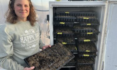 The USDA is canceling a program that gave aid to schools and food banks so they could buy produce from local farms. Happy Day Farmhaus in Richfield just planted seeds today for crops it was going to sell to @hungertaskforce through the program.