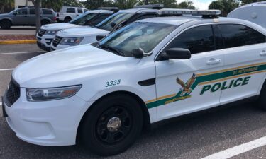 Police are searching for Michelle Brandes in connection to the case.