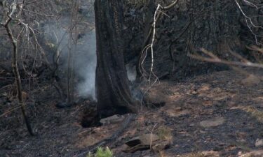 Crews work to clear old
