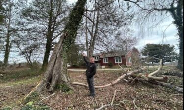 Experts tell News 13 that this week's forecasted strong winds pose a risk to large trees that were already impacted by Hurricane Helene.