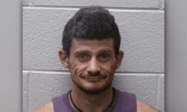 Hendersonville police identified the driver as Shane Mayfield and said he was released on a $10