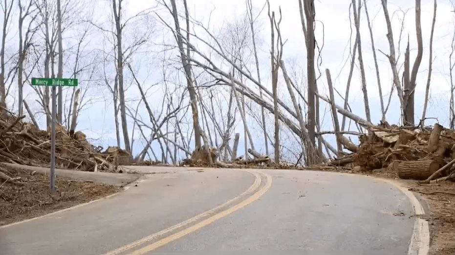 <i>WLOS via CNN Newsource</i><br/>Downed trees along Elk Mountain Scenic Highway