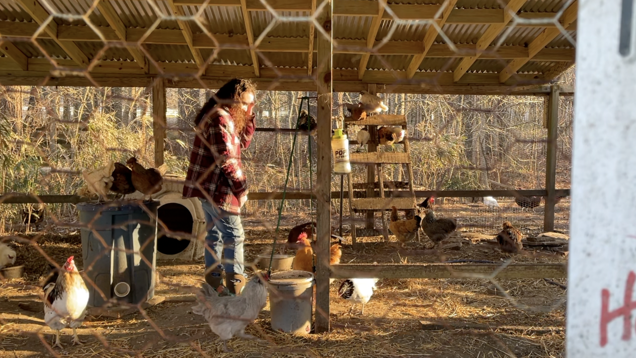 <i>WTKR via CNN Newsource</i><br/>A Virginia Beach teacher is embracing chicken farming.