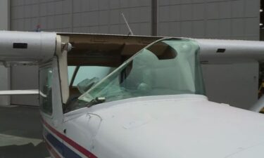 Two young flight students are being praised for their calm reaction when a bird flew through their cockpit window while they were high in the sky.