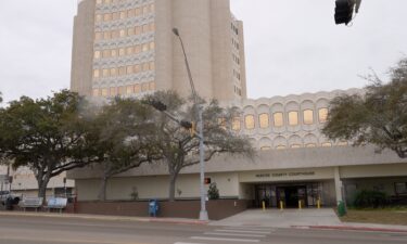 The plea deal could come with a sentence of five year deferred adjudication. This sentence could mean Villareal would serve no prison time