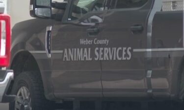 152 dogs were rescued from an Ogden home after a report of neglect.