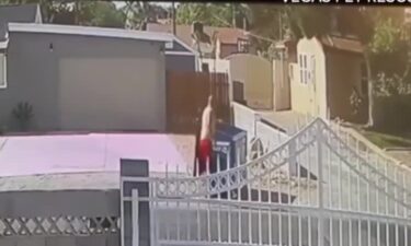 Las Vegas police confirmed to Channel 13 that a suspect has been arrested in the incident where a man was captured on video throwing a chihuahua into a dumpster.