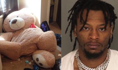A man from McKees Rocks is facing charges after an investigation discovered two guns found inside a large stuffed teddy bear in a home.