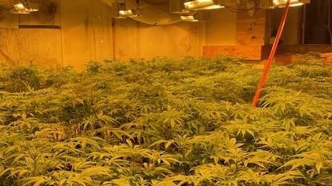 <i>Somerset County Sheriff's Office via CNN Newsource</i><br/>The most recent marijuana bust in Somerset County was on April 1 at a home on South Road in Harmony that police have searched and seized drugs from before. Police went to the home at about 9 a.m. with a drug search warrant.