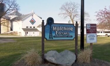 Malchine Farms has corn crops