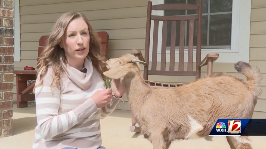 <i>WXII via CNN Newsource</i><br/>Her name is Millie