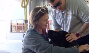 Lee County Animal Services is teaming up with the North Fort Myers Fire District for a pilot program called "Check the Chip." All three fire stations in North Fort Myers are now equipped with microchip scanners to help reunite lost pets with their owners.