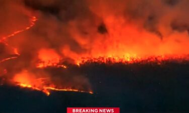 A wildfire in Ocean County