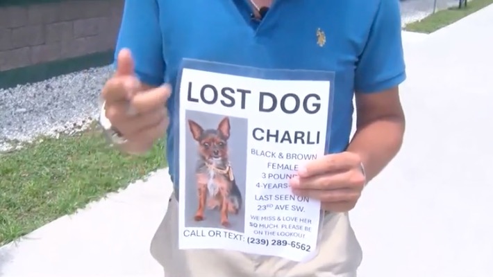 <i>WBBH via CNN Newsource</i><br/>Scammers are preying on heartbroken pet owners in Collier County