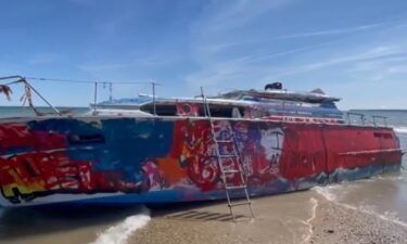 The boat removal costs is estimated to be up to $100