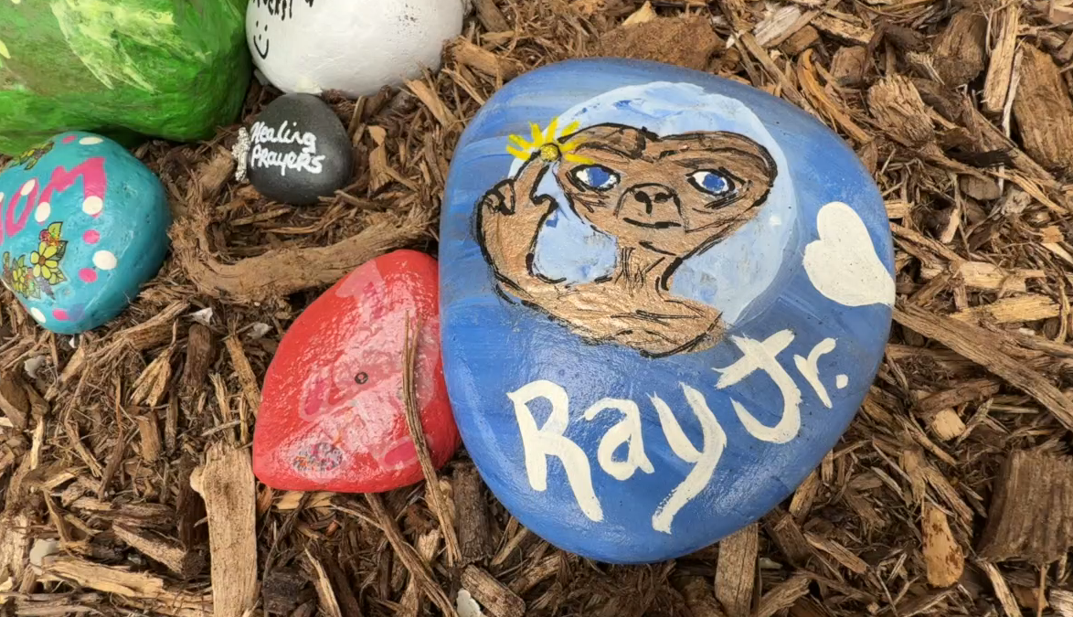 <i>WXYZ via CNN Newsource</i><br/>Dozens of colorful rocks line the garden outside the hospital
