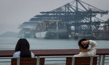 Container ships are pictured docked at the Yantian International Container Terminals in Shenzhen