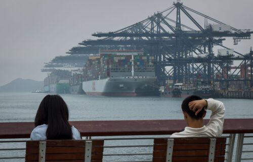 Container ships are pictured docked at the Yantian International Container Terminals in Shenzhen