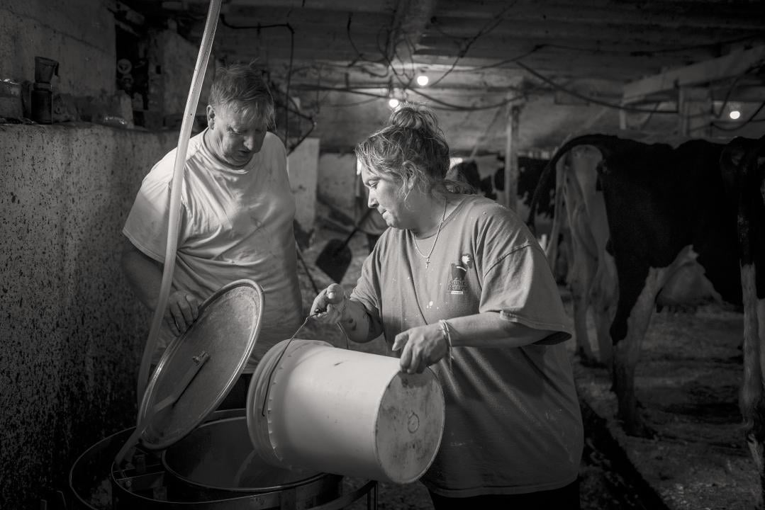 How a Vermont cheesemaker helps local farms thrive - KVIA