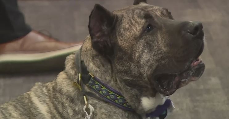 <i>KOVR via CNN Newsource</i><br/>Ethan