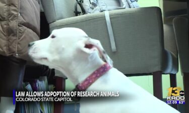 A new Colorado law is guaranteeing animals used as test subjects in health-related research a second chance at life before euthanasia.