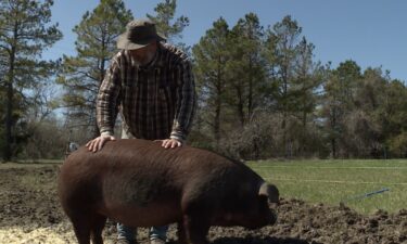 Midwest Center for Regenerative Agriculture is a new program that advocates for land conservation by practicing sustainable farming methods and producing fruits and vegetables native to our region.