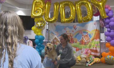 Retirement party for Buddy the Newton-Wellesley Hospital facility dog.