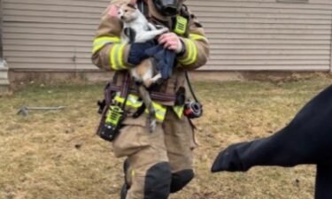 A Kaukuana family and their cat are safe after their home caught fire Wednesday afternoon.