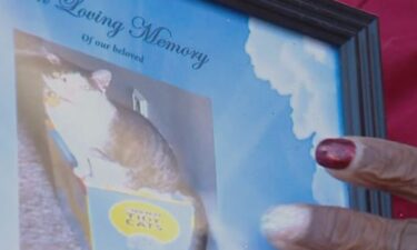 A Maryland woman claims to have been scammed by a pet cremation service after she found out her cat's ashes were a bag of sand.