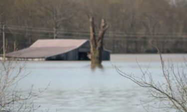 High water from heavy flooding has caused widespread devastation in Hardin County