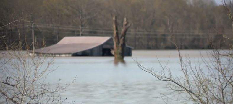 <i>WLKY via CNN Newsource</i><br/>High water from heavy flooding has caused widespread devastation in Hardin County