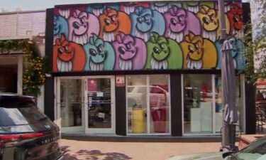 The Miami Fine Art Gallery on Commodore Plaza was closed Friday after its owner was accused of fraudulently selling art to deceive buyers out of thousands of dollars.