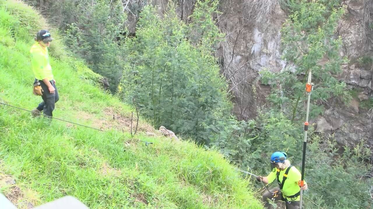 <i>KITV via CNN Newsource</i><br/>As fire season begins