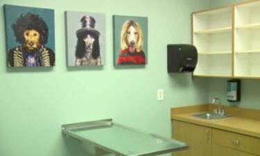The Hearts Alive Village opened its new low-cost Spay/Neuter Wellness Clinic to help with pet overpopulation.