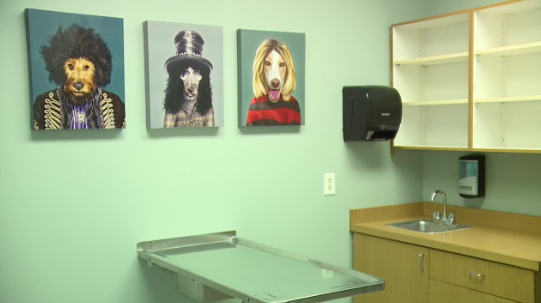 <i>KTNV via CNN Newsource</i><br/>The Hearts Alive Village opened its new low-cost Spay/Neuter Wellness Clinic to help with pet overpopulation.