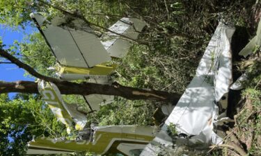 Witnesses say it’s a miracle Will and Missy Hammack survived after their plane plunged nose-first into the woods moments after takeoff.
