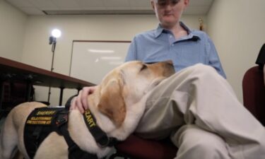 Mozart is an electronic detection K9 at the Boone County Sheriff's Office. He doesn't cling to many people other than his handler
