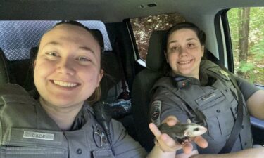 Chatham County Sheriff's Office Animal Resource Officers Caitlin Cade (left) and Taylor Hardee (right) are pictured with the rescued baby opossum