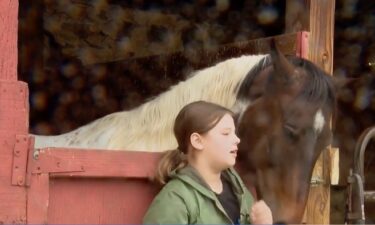 From petting a horse to grooming and eventually riding