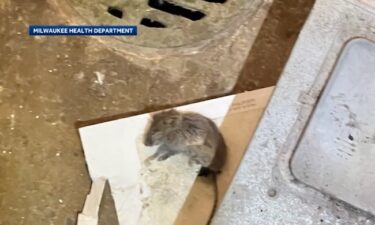 The Milwaukee Health Department said it discovered rodent droppings and a dead mouse in the main kitchen of Pulaski High School