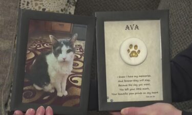 Pet owners who say they are victims of funeral director Patrick Vereb gathered together at a memorial in Latrobe to share their collective pain and find healing in one another.