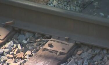 A man trying to retrieve his dog has died after he was struck by a train in Fort Worth on May 20