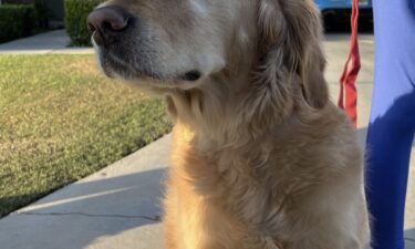 A southwest family is grieving the loss of their home but not their lives after their dog