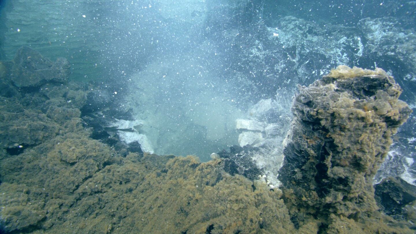 <i>UW/NSF-OOI/CSSF-ROPOS via CNN Newsource</i><br/>White clouds of microbial waste billow from the seafloor.