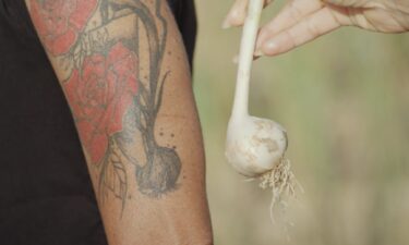 Chef Miriam Hernández is on a mission to revive ajo fino