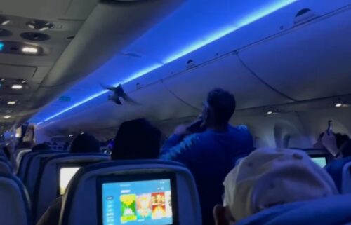 A bird flies inside Delta Air Lines flight 2348