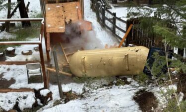 All five chickens were rescued after a propane tank crashed into a chicken coop in Evergreen.
